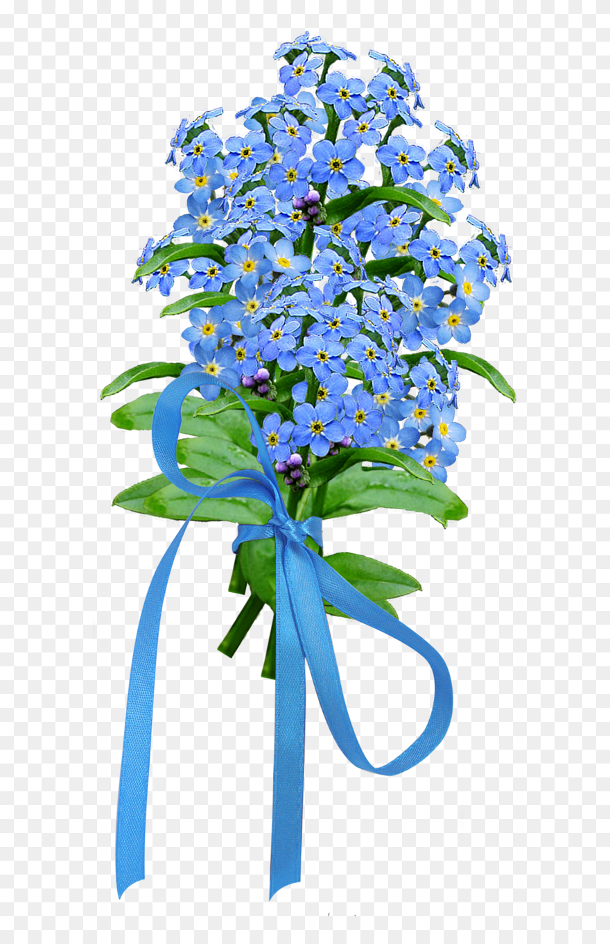 Forget Me Not Png Image - Forget Me Not Flower Bouquet Clipart