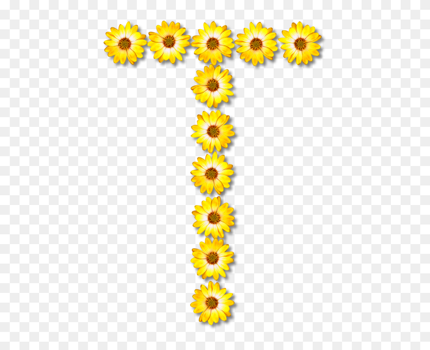 Sunflower Seed,plant,flower - Flower Alphabet Letters Png Clipart