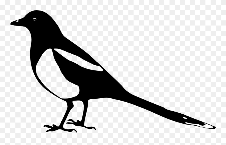Transparent Cute Crow Clipart - Magpie Clipart - Png Download