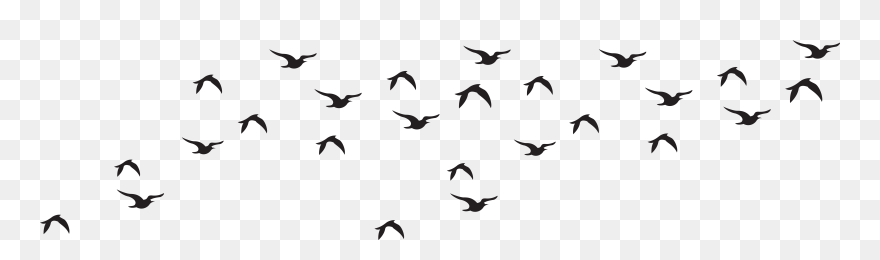Bird Silhouette Transparent Background - Flock Of Birds Silhouette Png Clipart