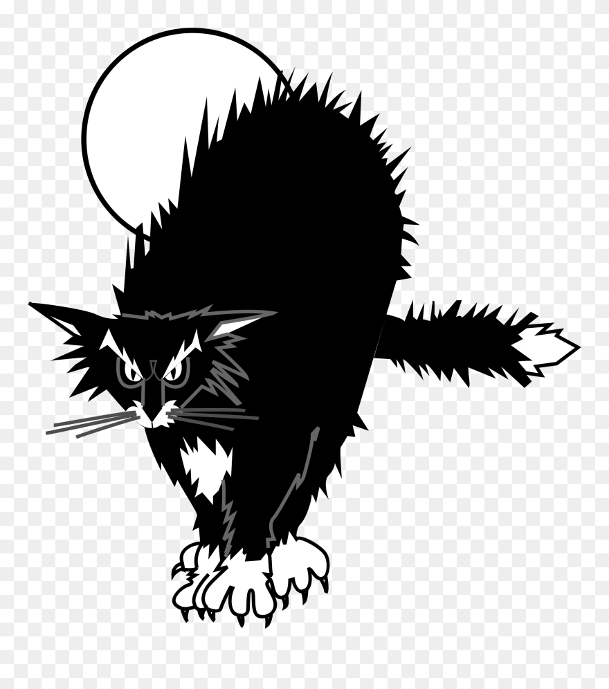 Clipart Cat Cowboy - Chat Noir Dessin - Png Download