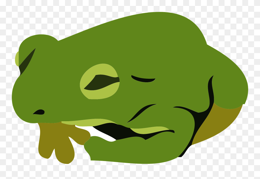 Japanese Tree Frog Clipart - กบ ไม่มี พื้น หลัง - Png Download