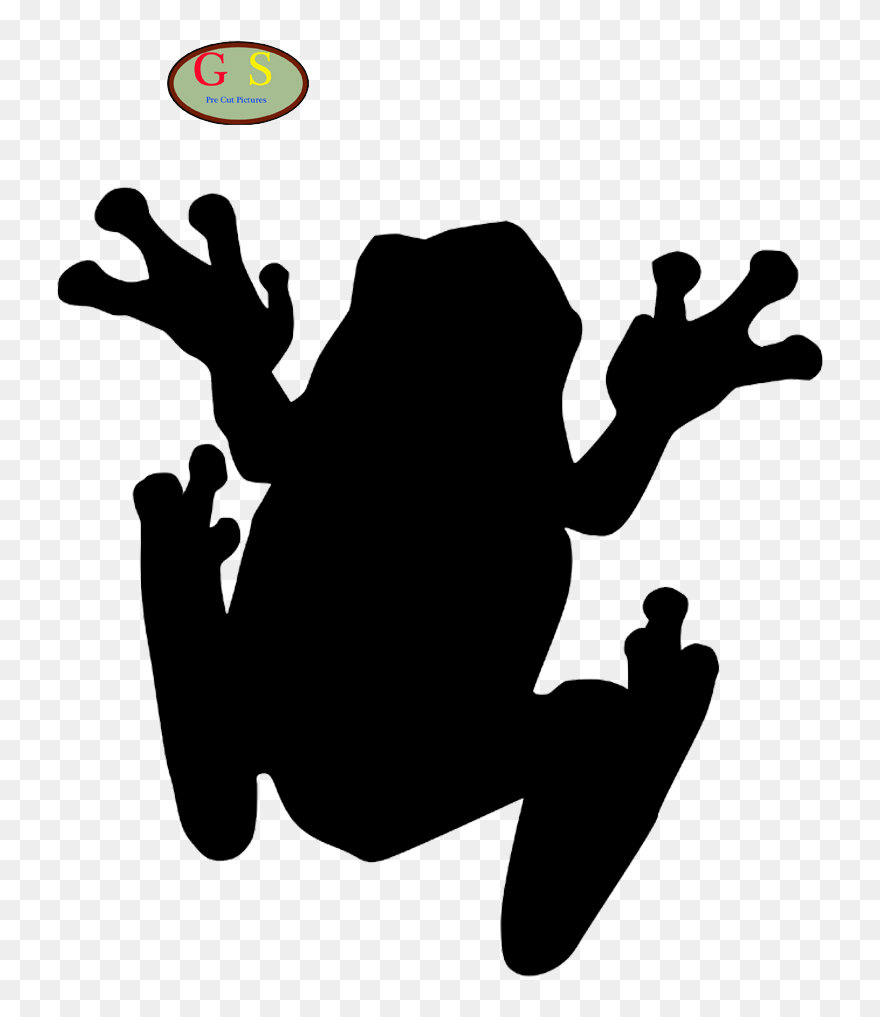 The Tree Frog Toad Clip Art - St. Louis Cathedral - Png Download