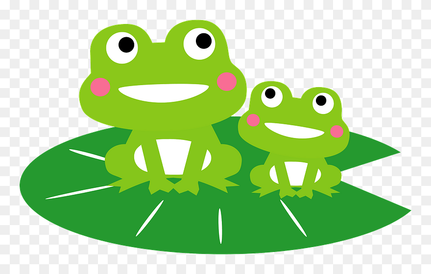 Frogs On Leaf Clipart - Clip Art - Png Download