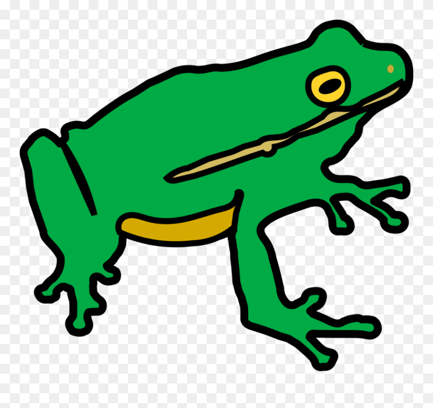 Animal Figure,toad,frog - Frog Non Copyright Clipart