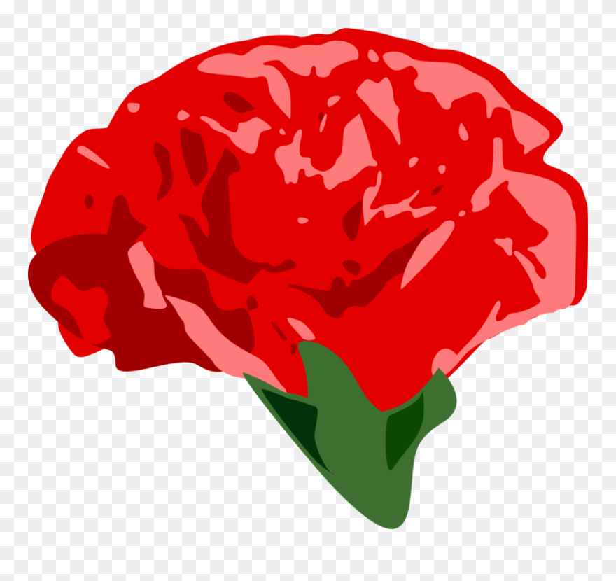 Plant,flower,garden Roses - Clip Art - Png Download