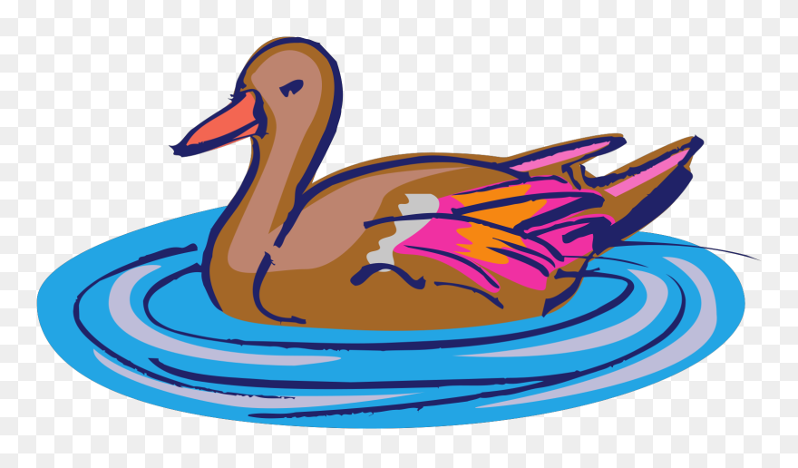 Clip Art Duck Swimming - Png Download