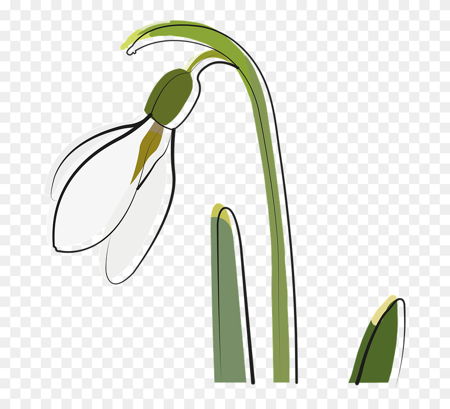 Clip Art - Png Download