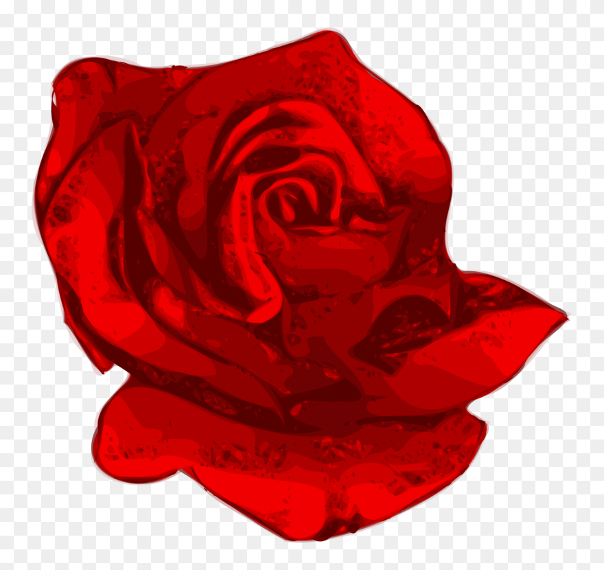 Plant,flower,garden Roses - Transparent Vector Flowers Red Png Clipart