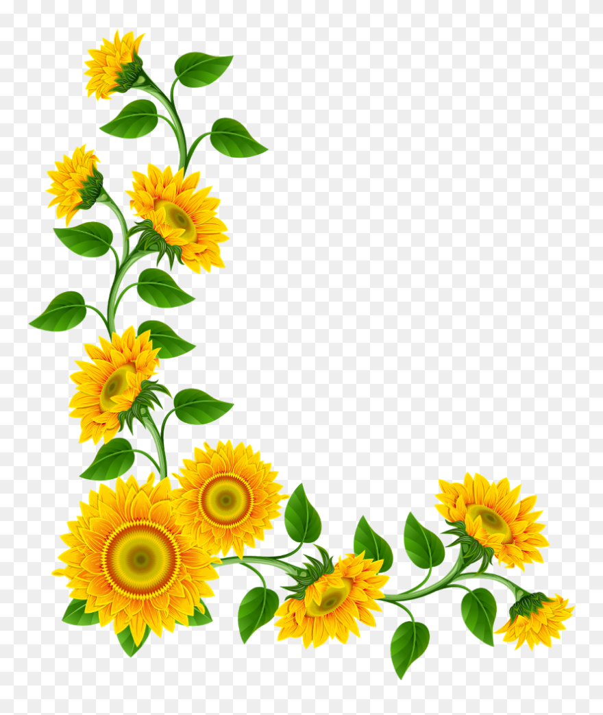 #mq #yellow #flowers #flower #garden #nature - Sunflower Border Clipart - Png Download