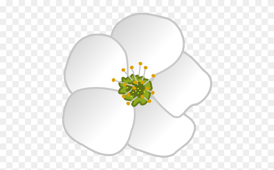 Flower Svg Clip Arts - Windflower - Png Download