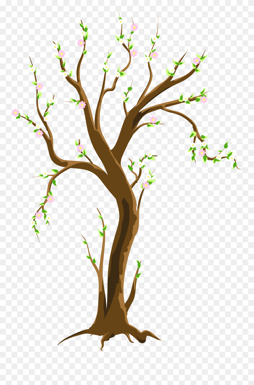 Spring Tree Png Clipart Picture , Png Download - Spring Tree Clipart Transparent Png