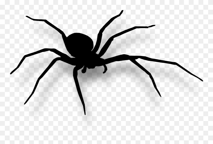Imagenes De Arañas De Halloween En Png Clipart