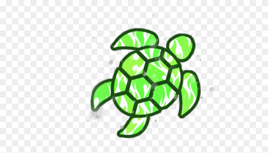 Vsco Turtle - Vsco Turtle Clipart - Png Download