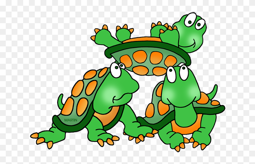 Turtles - Group Of Tortoises Clipart - Png Download