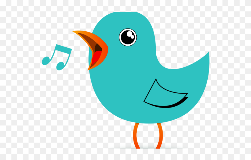 Bird Cartoon Gif Png Clipart