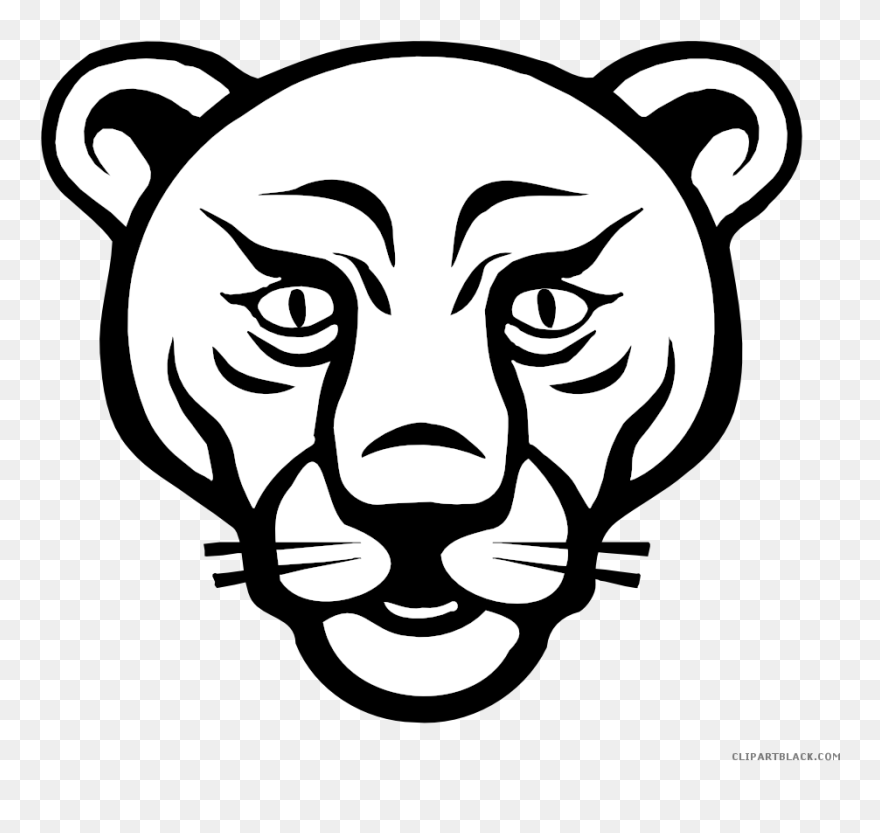 Lion And Basketball Clipart Black And White Png Free - Mountain Lion Drawing Face Transparent Png