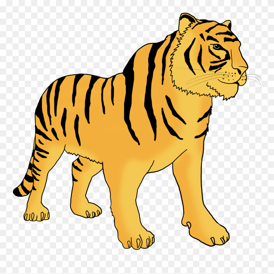 Bengal Tiger Clipart - Bengal Tiger - Png Download