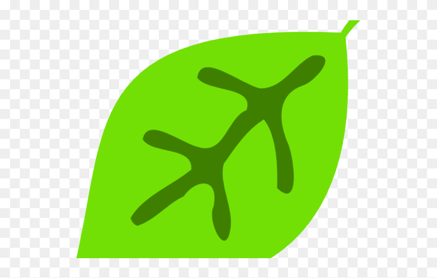 Cute Leaf Clipart - Png Download