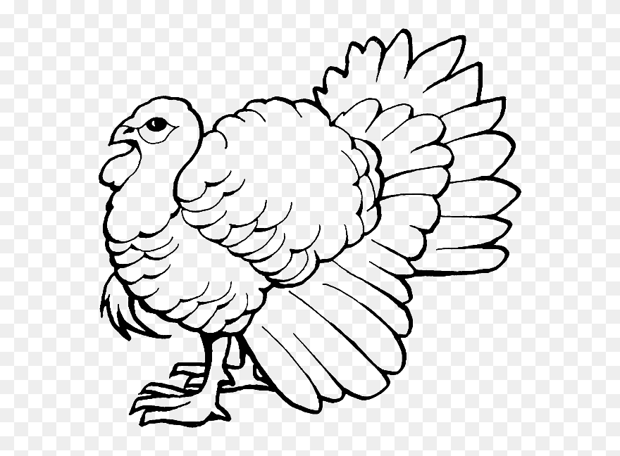 Free Printable Coloring Picture Of A Turkey Clipart