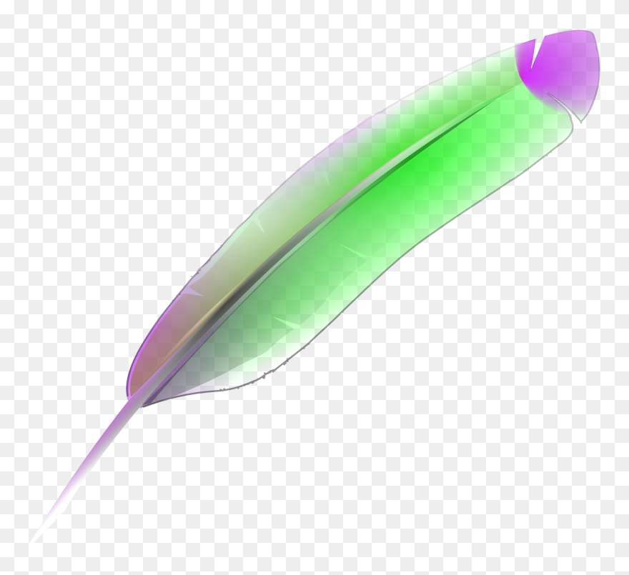 Feather Png Images - Clip Art Transparent Png