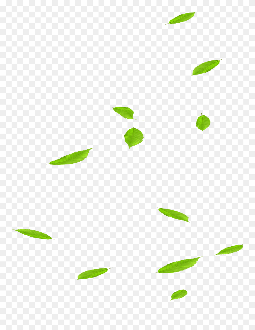 Falling Leaves Png Download - Graphics Clipart