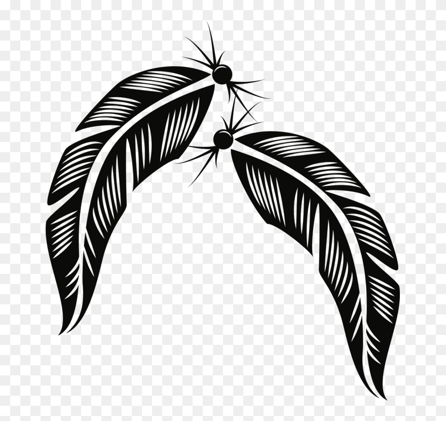 Plant,leaf,monochrome Photography - Feathers Vector Clipart
