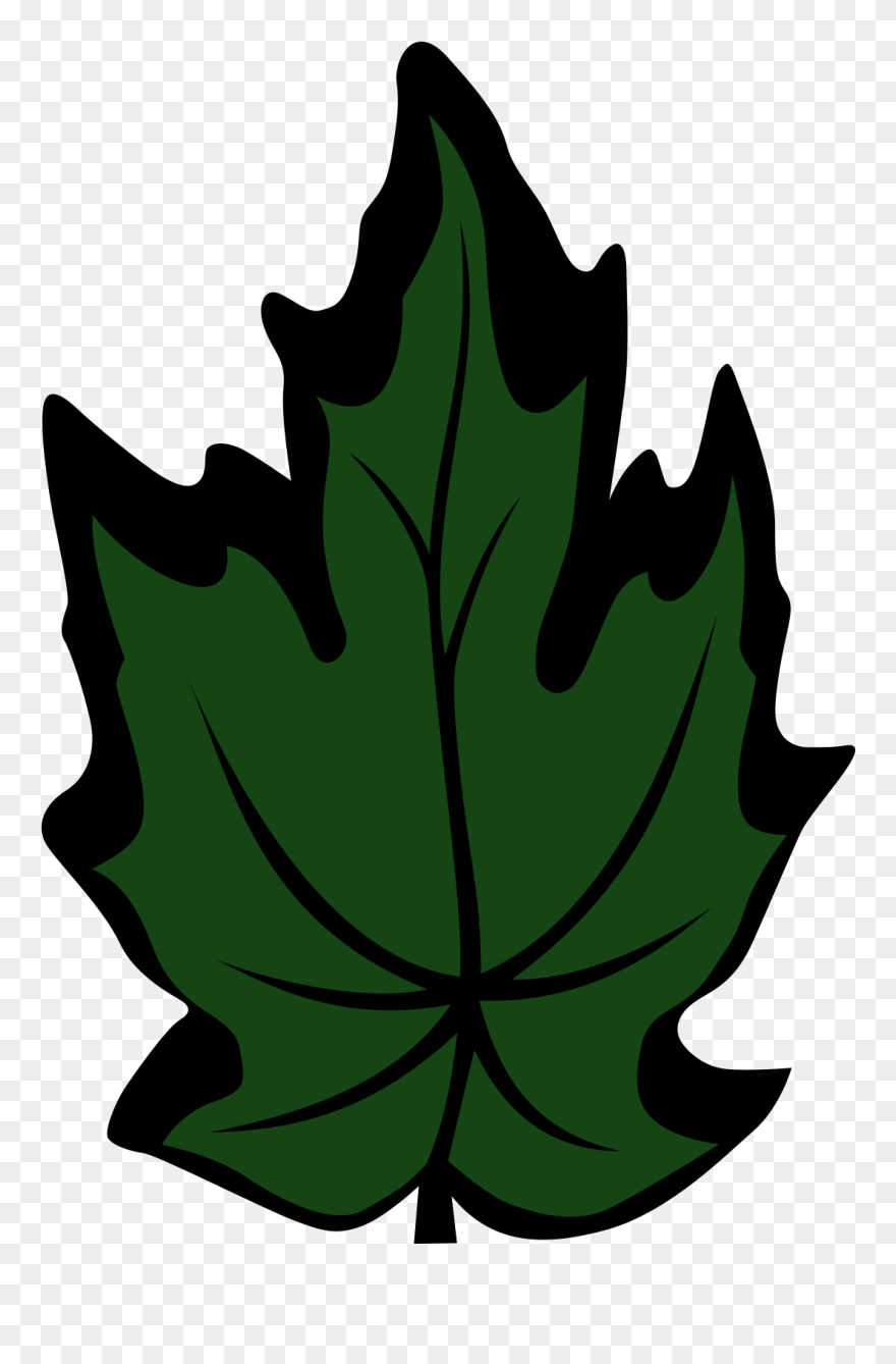 Daun Maple Gambar Hijau Clipart