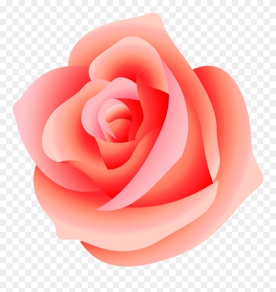 Transparent Rose Flower Pink Png Clipart