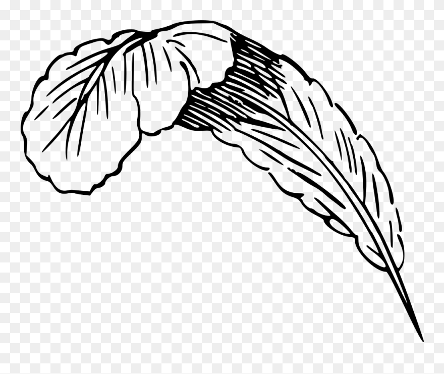 Feather - Wings Drawing Image Simple Clipart