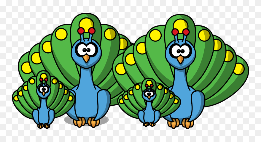 Peacock Family Peachick Free Photo - Cartoon Peacock Transparent Clipart