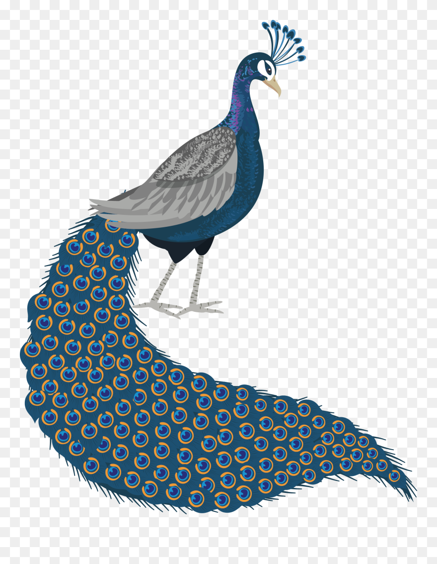 Clip Art - Png Download