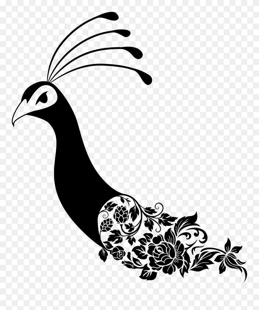 Background Image Of The Peacock From The Walton Gardens - Peafowl Clipart