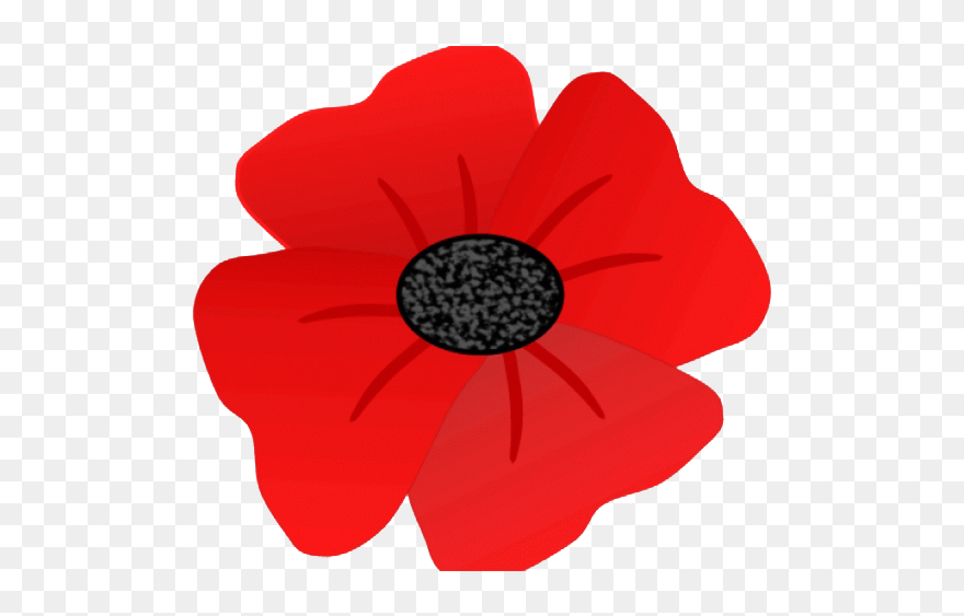 Draw A Remembrance Poppy Clipart