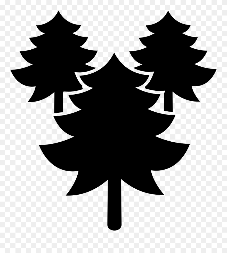 Pines Trees Forest - Portable Network Graphics Clipart
