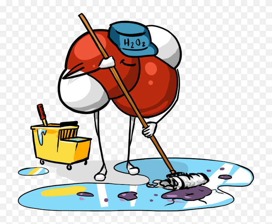 Cleaning Clipart Sanitation - Sanitation Clipart - Png Download