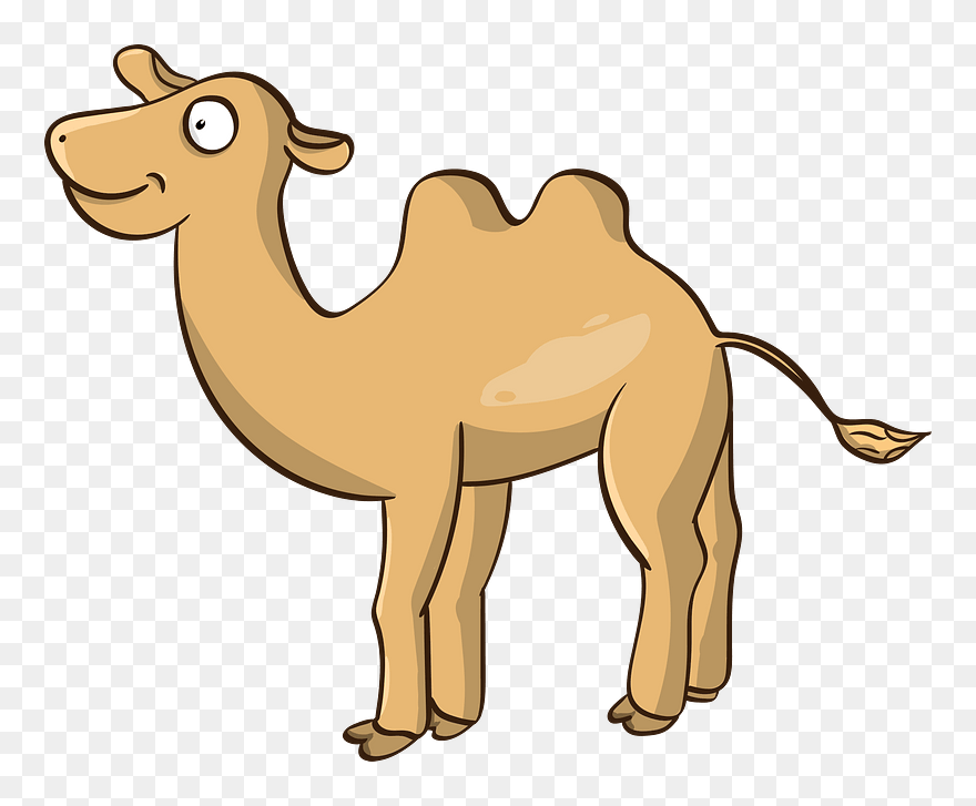 Cartoon Camel Clipart - อูฐ การ์ตูน - Png Download