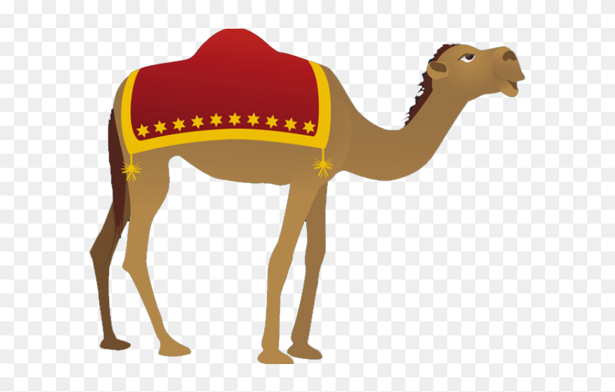 Clip Art Nativity Camel - Png Download