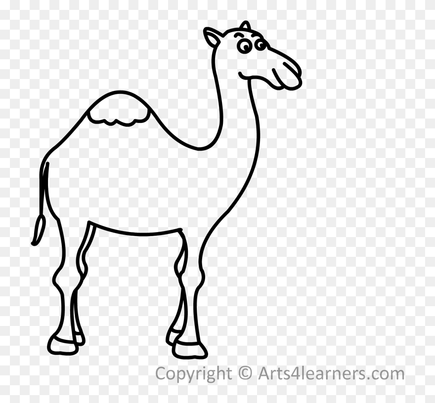 camel black and white clipart
