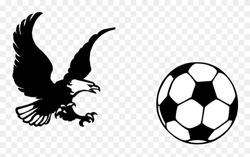 Download Bald Eagle Youth Soccer Colouring Images Of Football Clipart