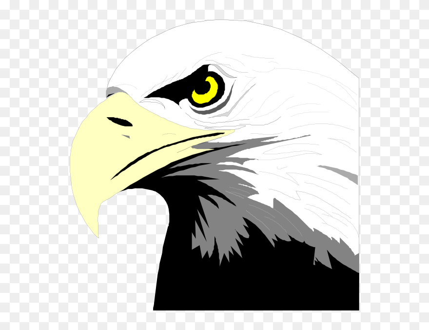 Bald Eagle Head Clip Art At Clker - Bald Eagle Head Clip Art - Png Download