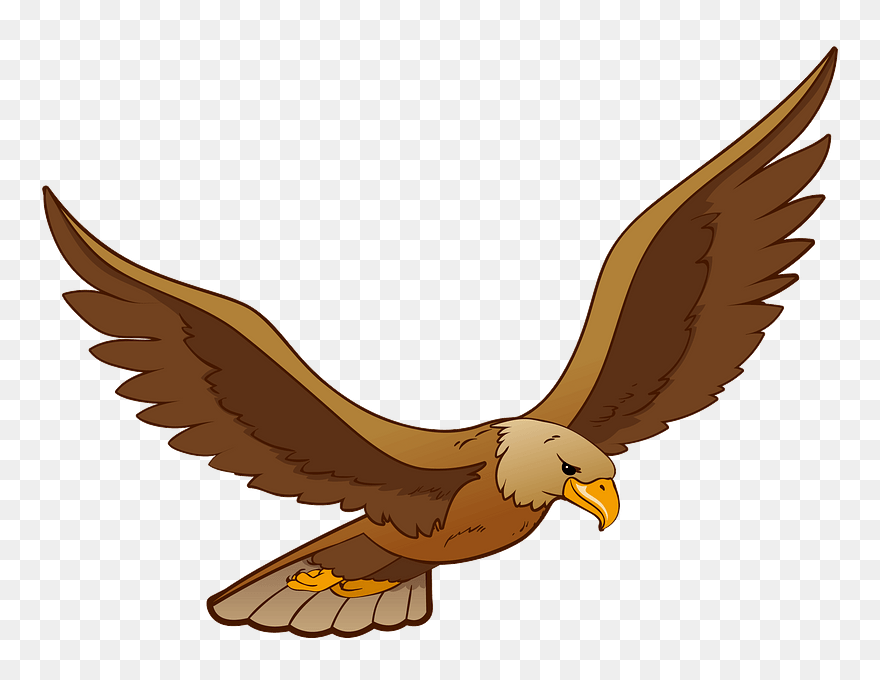 Eagle Clipart - Png Download