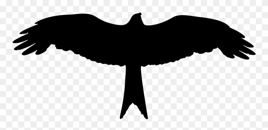 Onlinelabels Clip Art - Bird Wing Silhouette Png Transparent Png