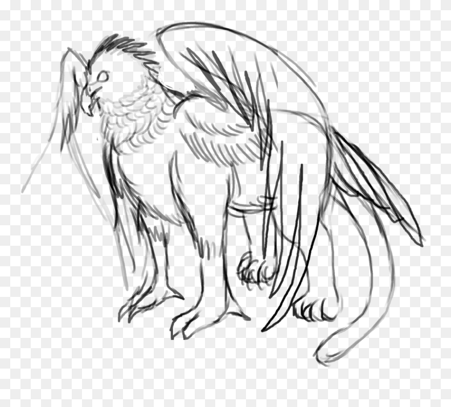 Harpy Eagle Griff Wip - Line Art Clipart