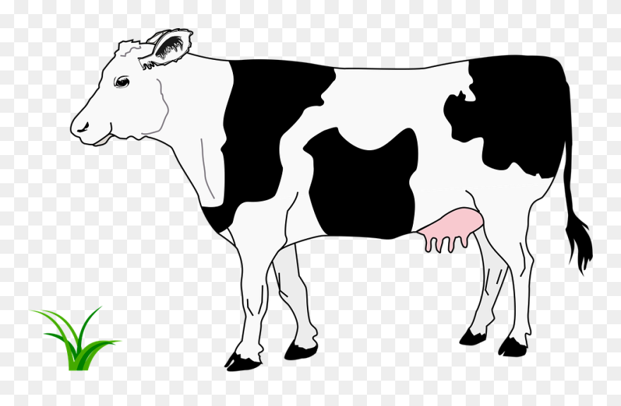 Cow Clipart Black And White - Png Download
