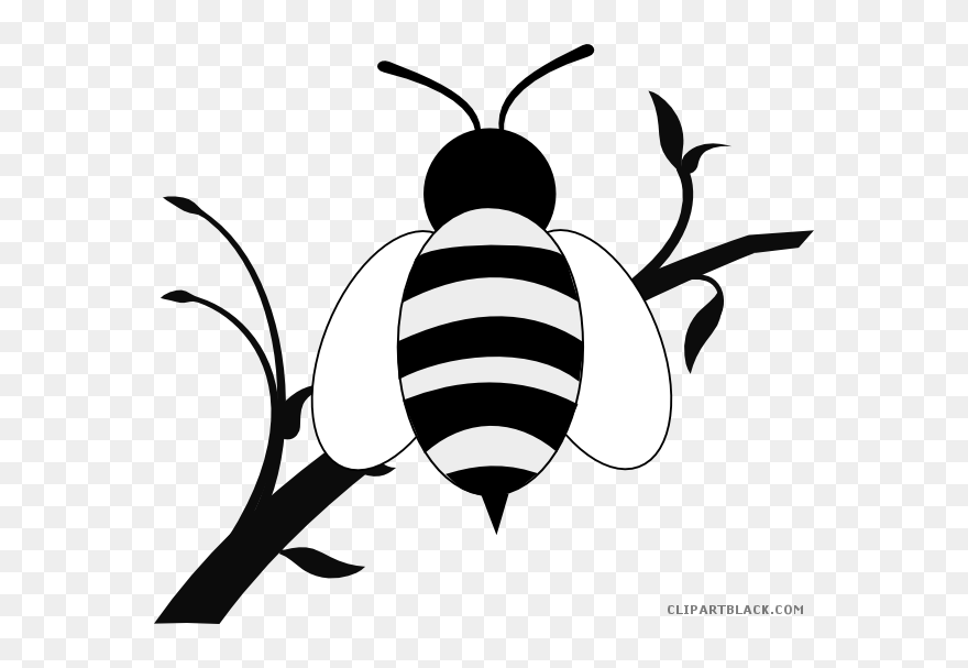 Honey Bee Animal Free Black White Clipart Images Clipartblack - Branch Black And White Clipart - Png Download