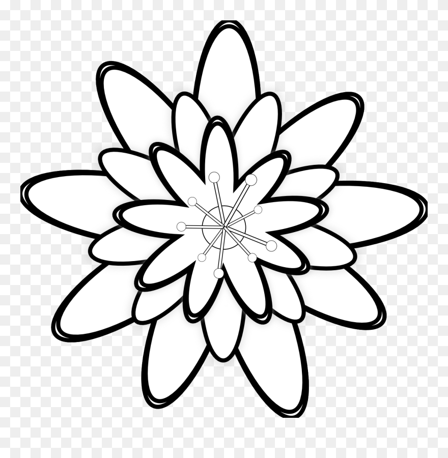 Gambar Bunga Hitam Putih - Outline Of A Sunflower Clipart