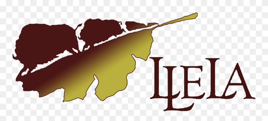 Hike Clipart Cub Scout, Hike Cub Scout Transparent - Temple University - Png Download