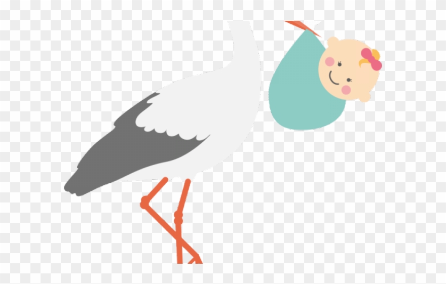 Stork Clipart Surrogacy - Ciconia - Png Download