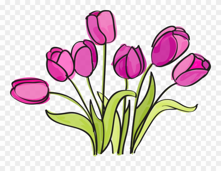 The Library Voice - Clip Art - Png Download